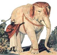 Heure du Conte enfants : L’éléphant blanc (légende indienne)