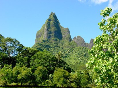 Heure du Conte enfants : La légende de Paï - la Polynésie et ses héros à l'honneur