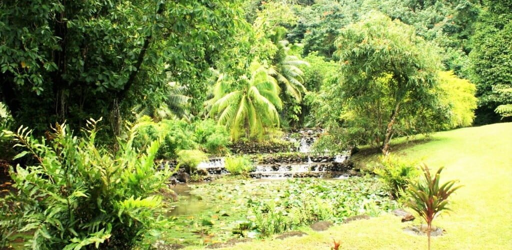 parcs jardins parks gardens tahiti parcs jardins parks gardens tahiti