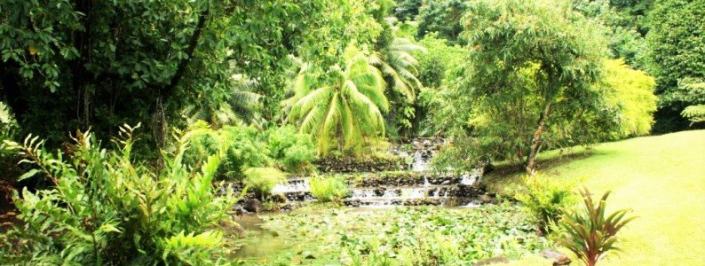 parcs jardins parks gardens tahiti parcs jardins parks gardens tahiti