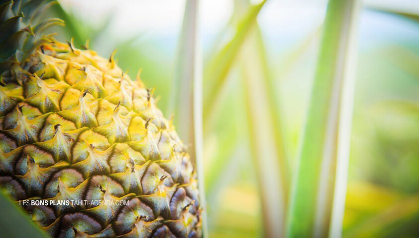 semaine-3decembre2018-a-tahiti