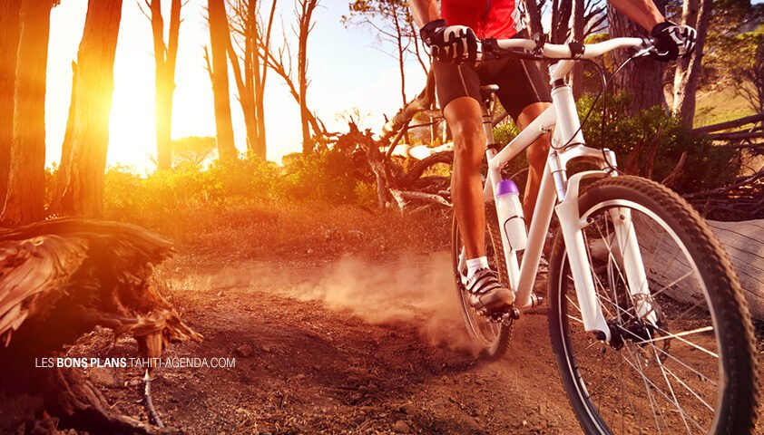 semaine-21-janvier-2019-a-tahiti semaine-21-janvier-2019-a-tahiti