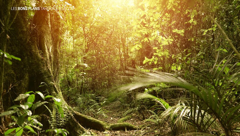 sorties-7-janvier-2018-a-tahiti